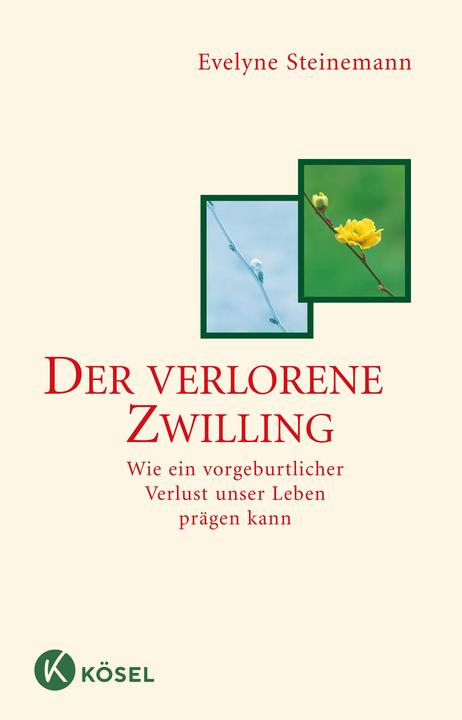 Image du produit Der verlorene Zwilling (Allemand, Evelyne Steinemann, 2006)