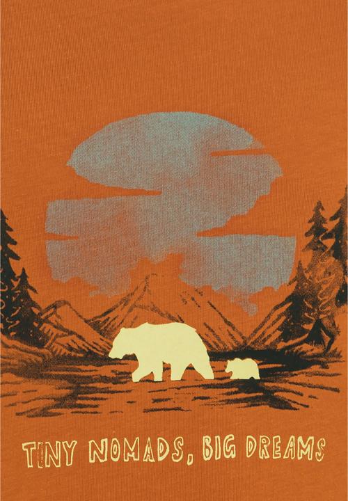 Immagine prodotto Jack Wolfskin Graphic Cotton T Kids (140)