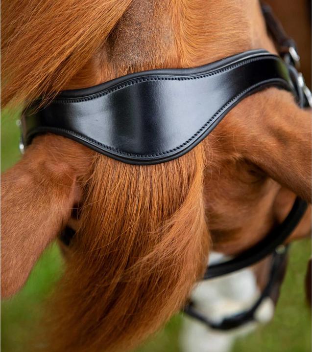 Immagine prodotto Premier Equine Glorioso
