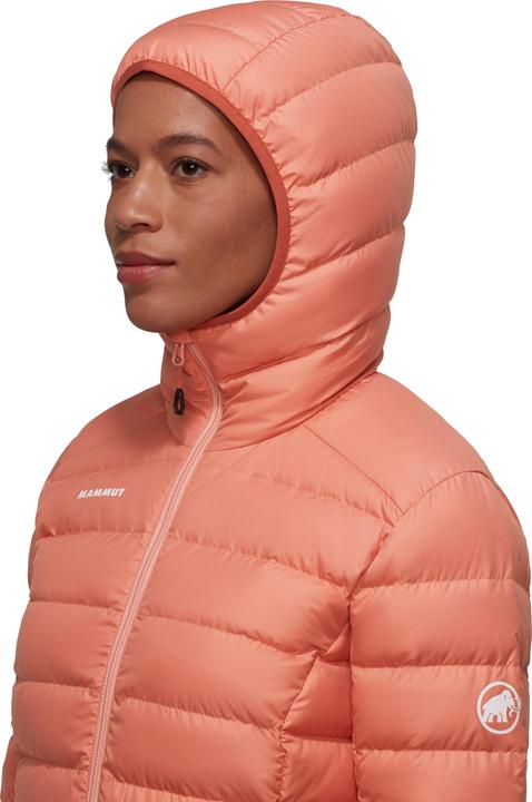 Image du produit Mammut Veste à capuche Waymarker IN Femme (XL)