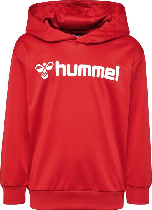 Image du produit hummel hmlLOGO HOODIE KIDS (116)