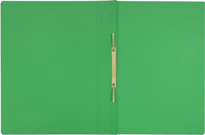 Produktbild Leitz Schnellhefter Recycle A4 Grün, 10 Stück (A4, 10 x)