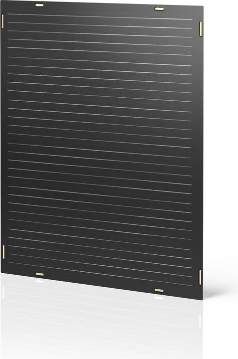 Actual product image Paua Balcony power plant (300 W)