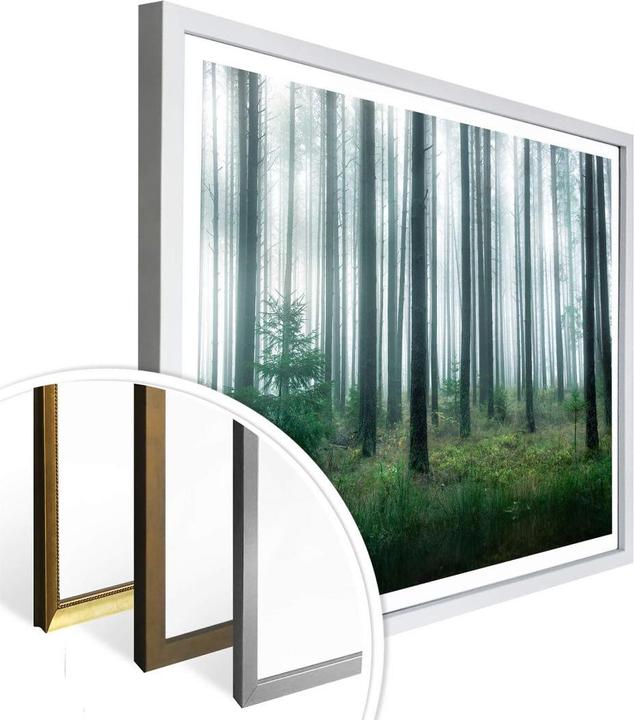 Image du produit Trenddeko Dans la forêt (100 x 80 cm)
