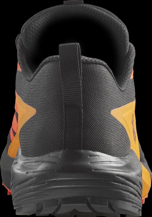 Image du produit Salomon Sense Ride 5 GTX Chaussures de trail running pour hommes (44)