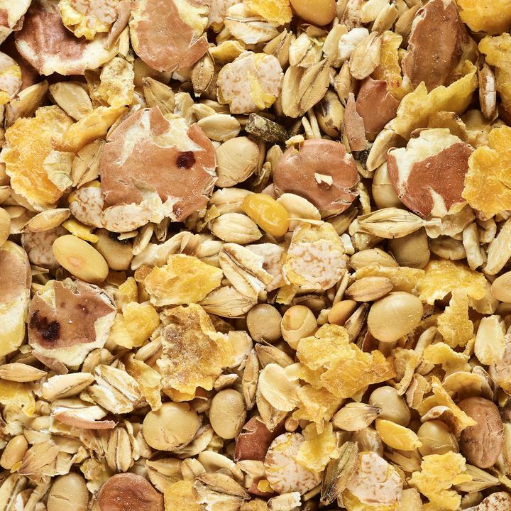 Immagine prodotto Caperlan Körner geröstet 5 kg Karpfenangeln