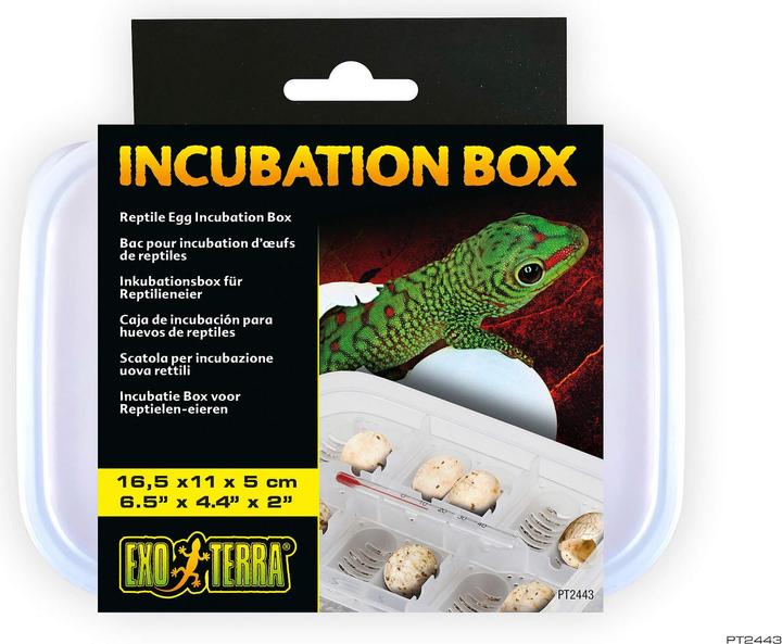Exo Terra Boîte d'incubation