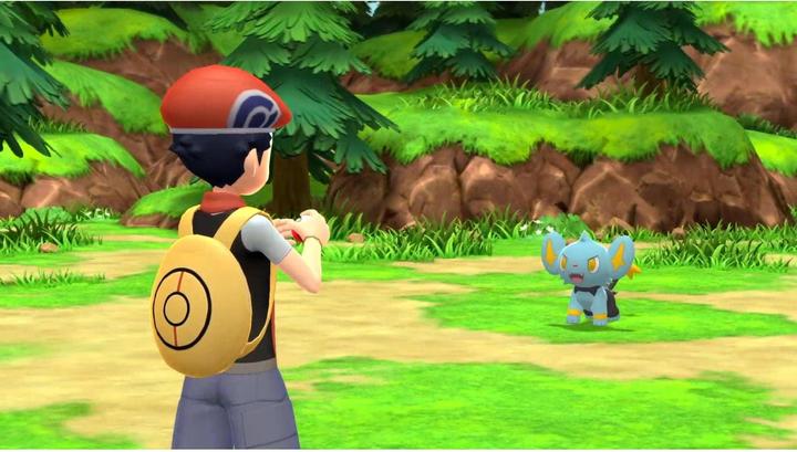 Actual product image Nintendo Pokémon Brilliant Diamond (Switch, Multilingual)