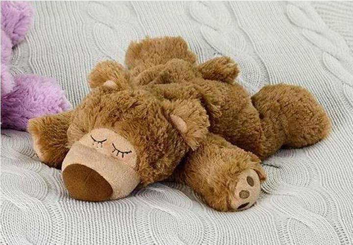 Image du produit Warmies Sleepy Bear