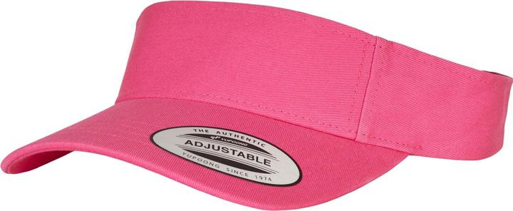 Flexfit Curved Visor Cap (One Size)