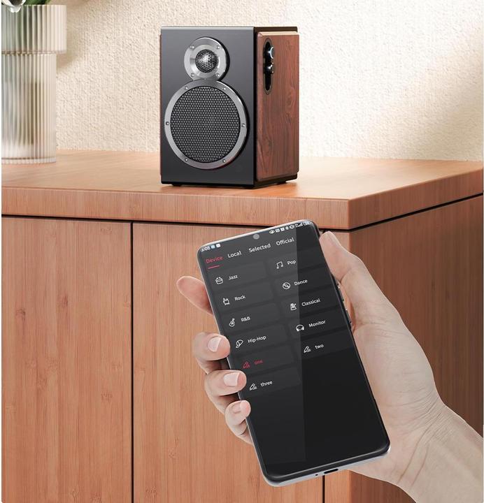 Actual product image FiiO SA1 (1 pair, 50 W)