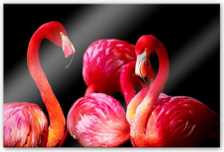 Actual product image Trenddeko Pink Flamingo (100 x 70 cm)