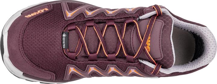 Immagine prodotto Lowa Innox Pro GTX LO (41.5)