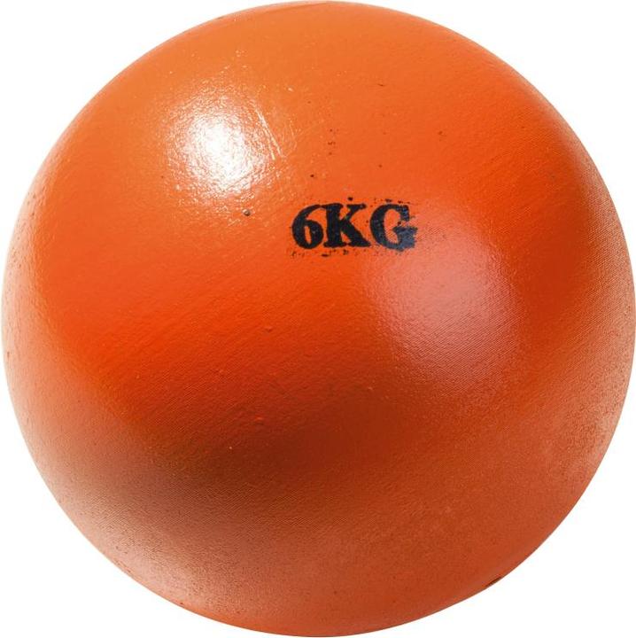 Tanga Sports ® Stosskugel (6000 g)
