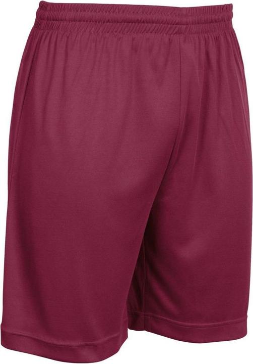 Actual product image Stanno Field Shorts (116)