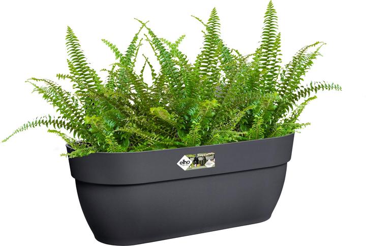Image du produit Elho Vibia Campana Easy (46 cm)