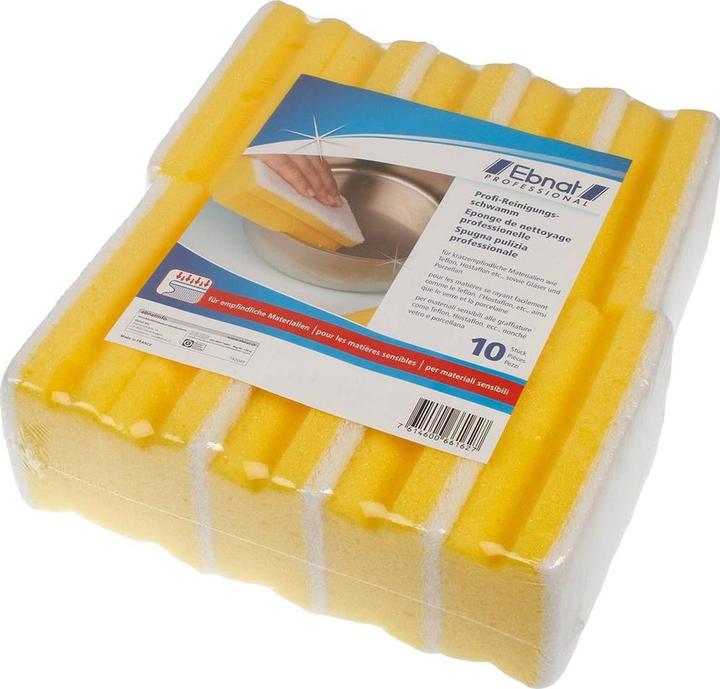 Produktbild Ebnat Reinigungsschwamm Profi (10 Stk.)
