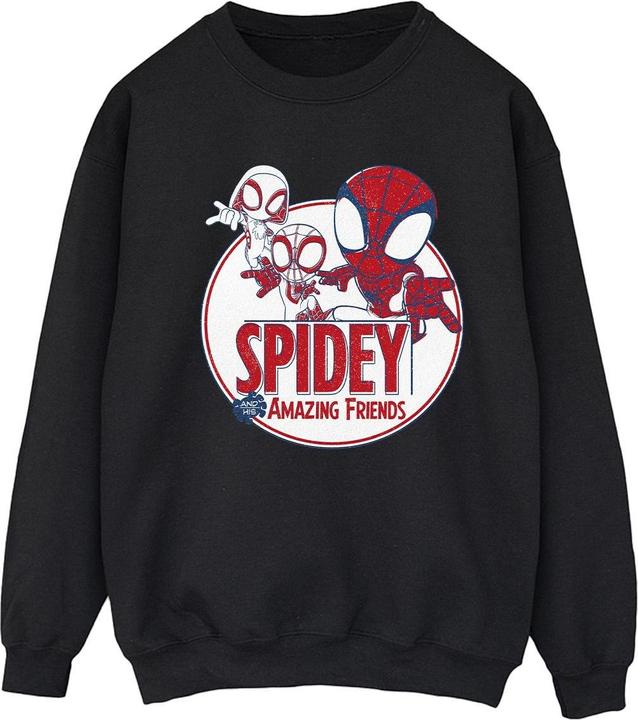 Produktbild Spidey And His Amazing Friends Circle Sweatshirt (L)