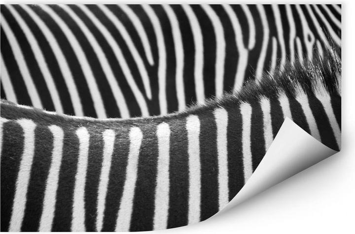 Image du produit Trenddeko motif zébré (30 x 20 cm)