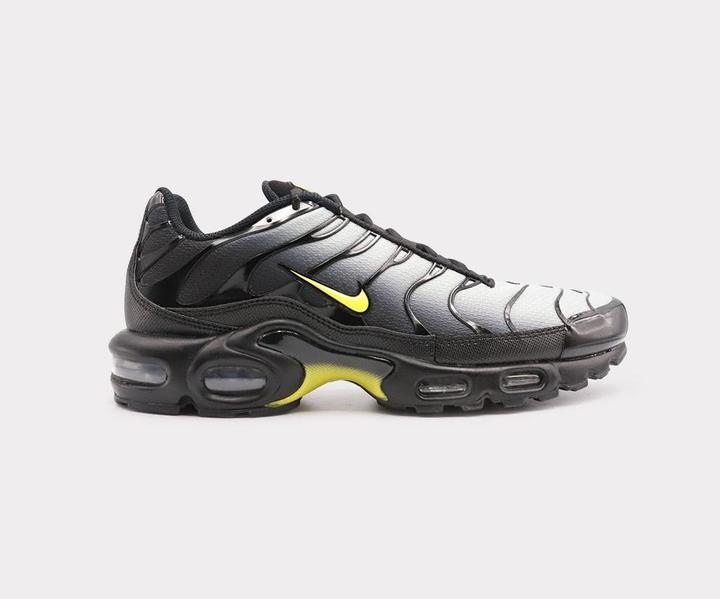 Loup Gris, opti jaune, Noir