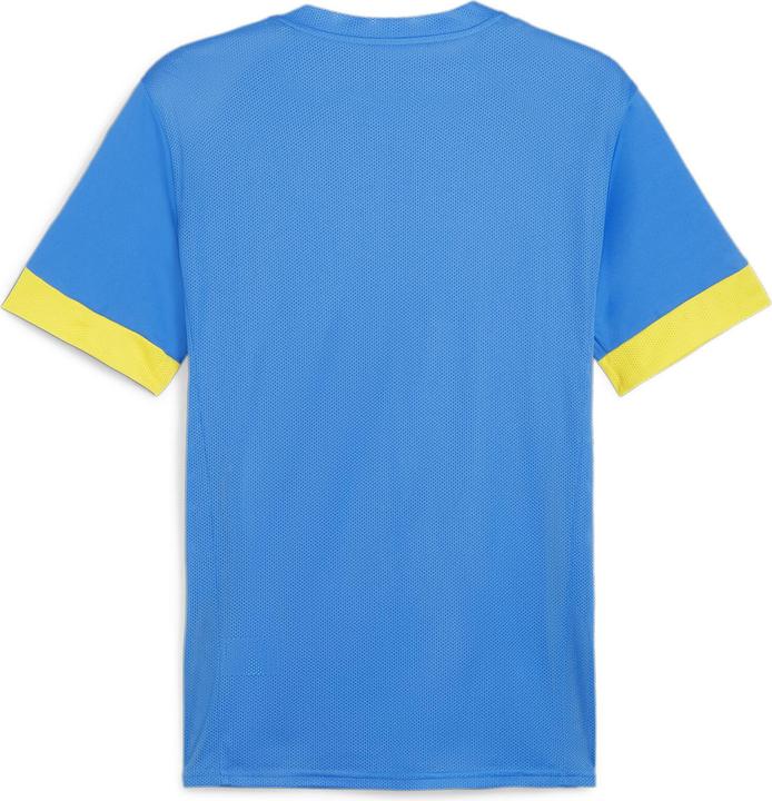 Actual product image Puma teamGOAL Matchday Jersey (XXL)