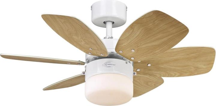 Maple, White
