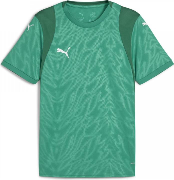 Image du produit Puma teamCUP Jersey (3XL)