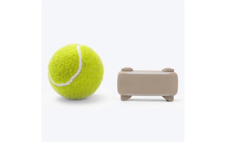 Actual product image Tractive GPS Tracker Dog 6 (Dog)