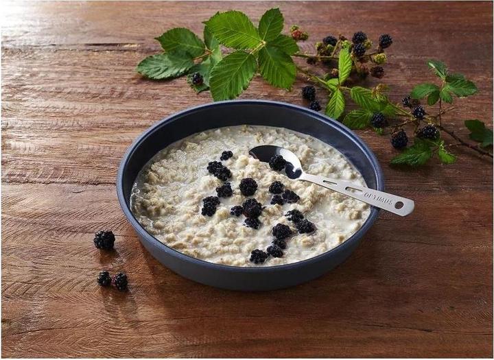 Immagine prodotto Trek'n Eat Porridge proteico (Altri, 1 pz., 175 g)