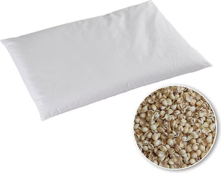 Produktbild Alpur Hirsekissen Bio (40 x 60 cm)