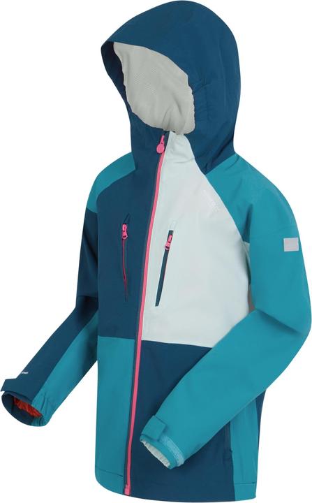 Actual product image Regatta Childrens/Kids Highton V Full Zip Hoodie (170, 176)