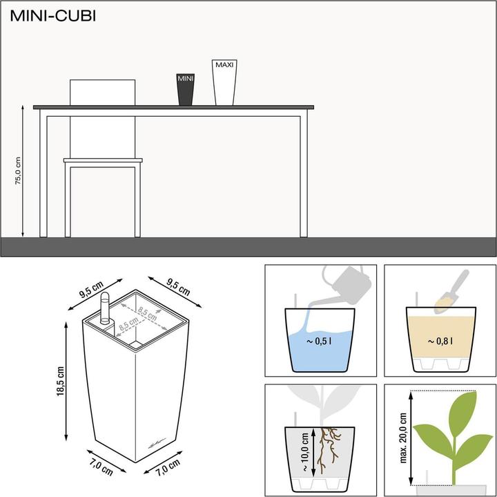 Actual product image Lechuza Mini Cubi (9.50 cm)
