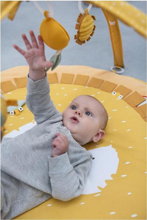 Produktbild Trixie Baby Activity Spielbogen