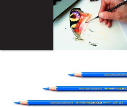 Immagine prodotto Caran d'Ache Prismalo Aquarelle (Nero, 1 x)