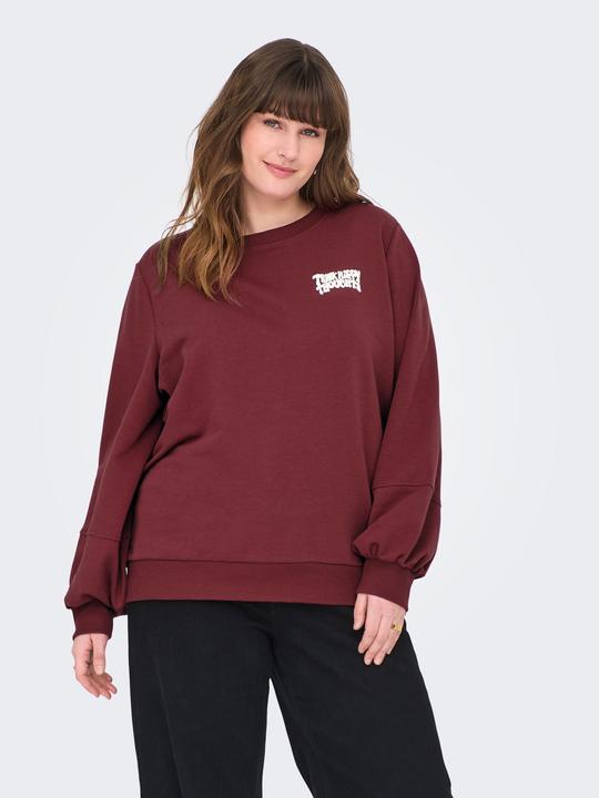 Produktbild Only CARKAVIRA Sweatshirt Sweatshirt (M)