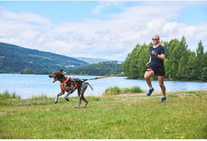 Produktbild Non-Stop Dogwear CaniX Belt 2.0 - Hunde Laufgürtel (L, Hund, Jogging)