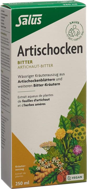 Actual product image Salus Artichoke bitters (1 Piece, Liquid, 606 g)
