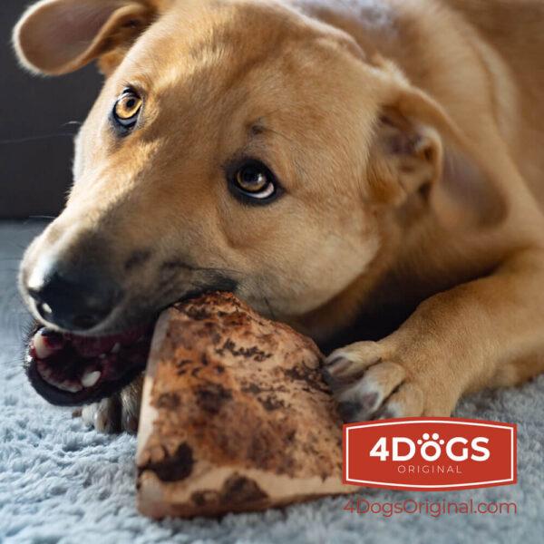 Actual product image 4Dogs Original Corzen xl (Dog chew toy)