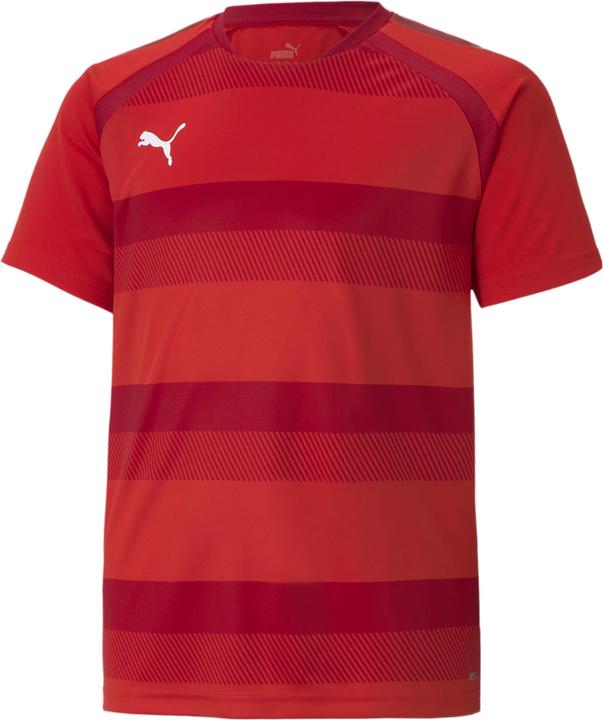 Puma teamVISION Jersey Jr-704928