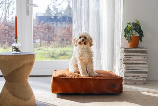 Image du produit Designed by Lotte Ribbed (Chien)