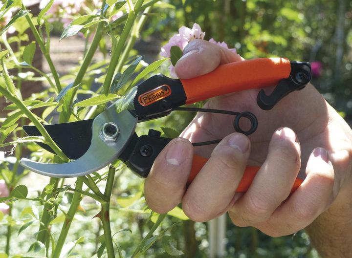 Immagine prodotto Garten Primus Forbici da giardino "Regina delle rose