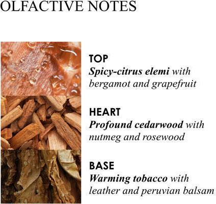 Actual product image Molton Brown Tobacco Absolute Bath & Shower Gel G (300 ml)
