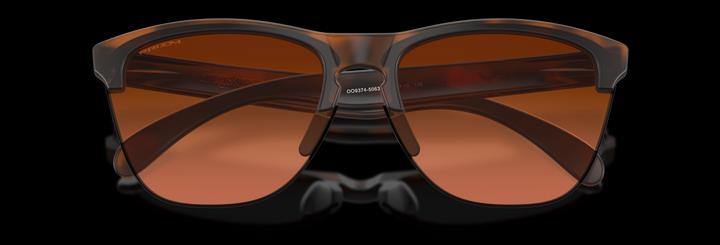 Produktbild Oakley Frogskins Lite