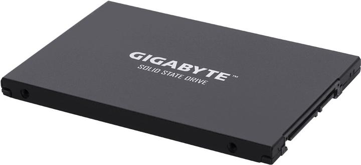 Image du produit Gigabyte GP-GSTFS30256GTTD (256 Go, 2.5")