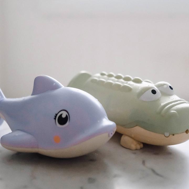 Immagine prodotto Sunnylife Delfino schizzacervelli d'acqua