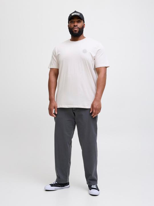 Produktbild Jack & Jones Jpstkane Fctry Fabric2 L2 Chino Pant Pls (W50/L32)