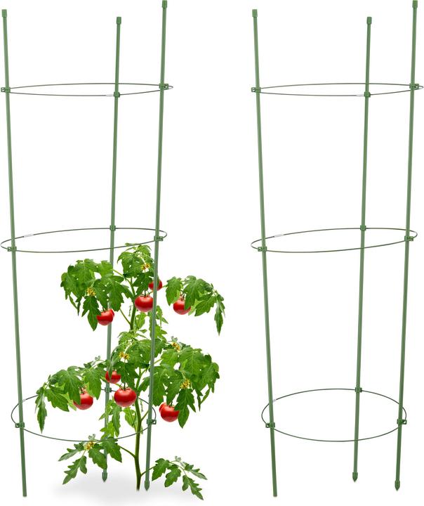 Image du produit Relaxdays La tomate comme aide à l'escalade (28 cm, 28 cm)