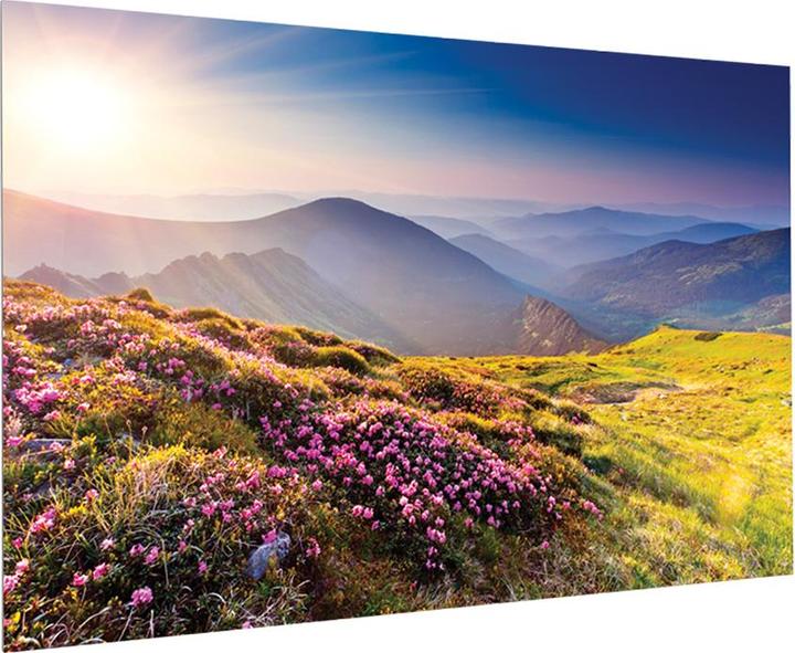 Actual product image Projecta FullVision projection screen (130 inch) (130", 16:10)