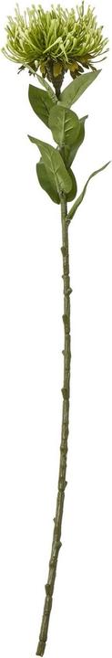 Actual product image Hill Interiors Protea Lorea Stem Artificial Plant (73 cm)