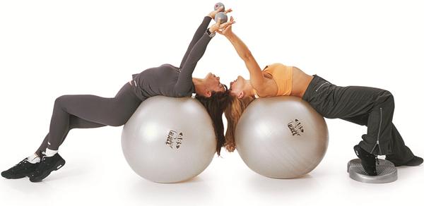 Produktbild Togu Powerball ABS (65 cm)